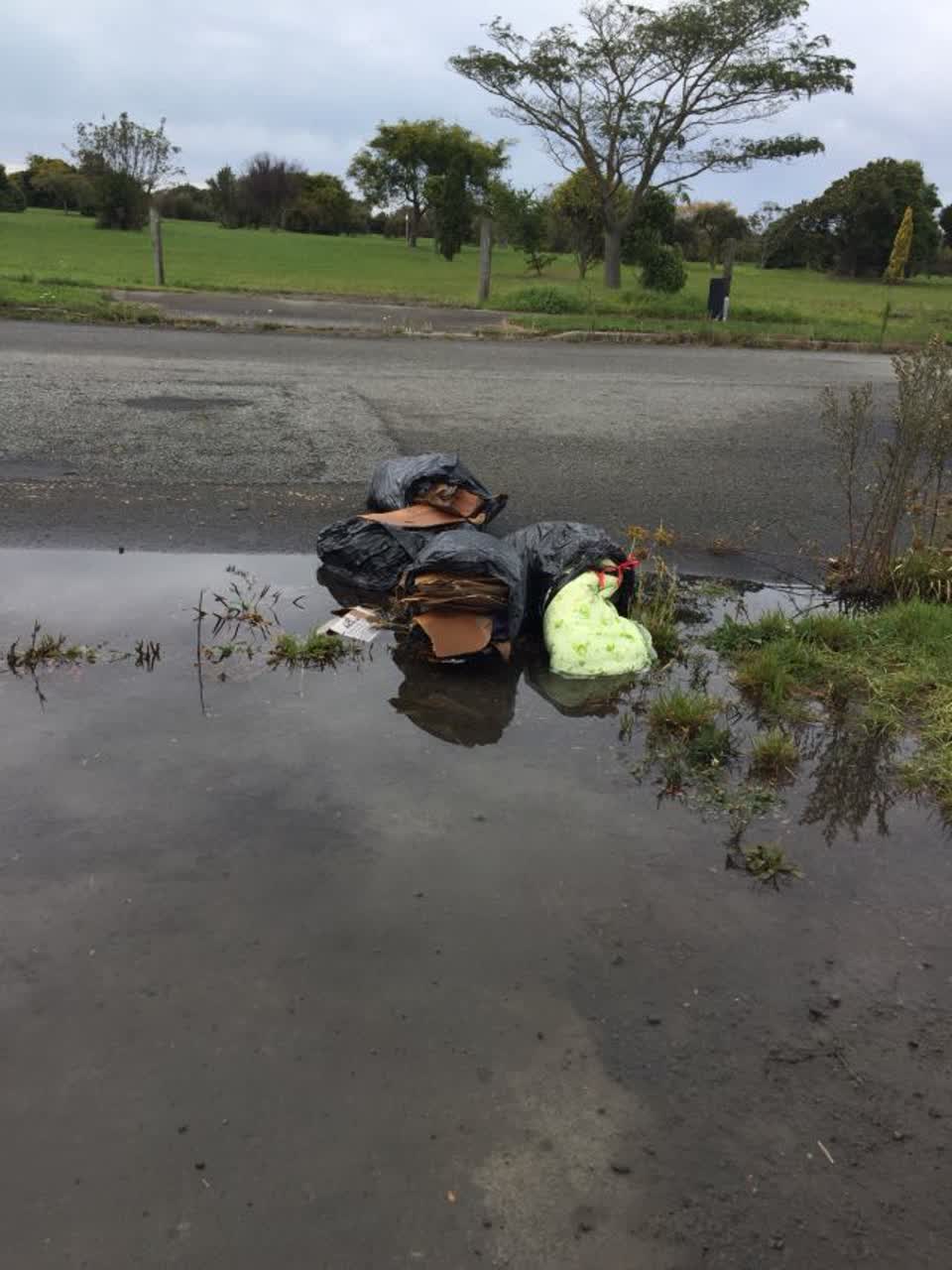 The photograph attached to this rubbish/recycling report