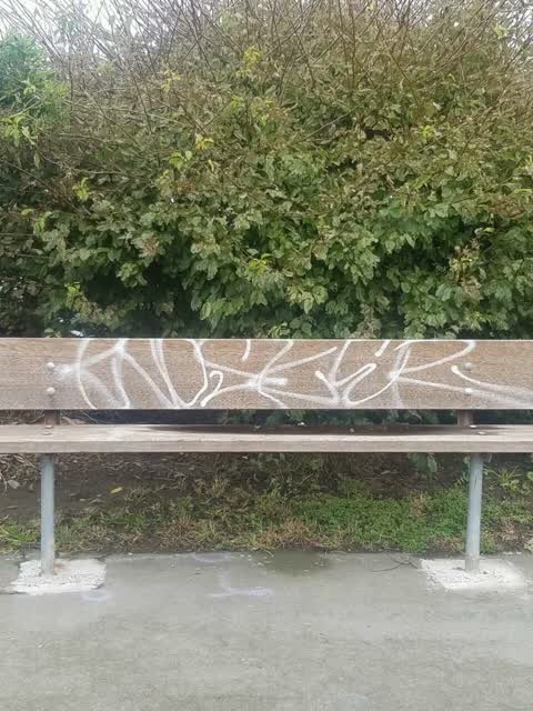 Graffiti — a report photo