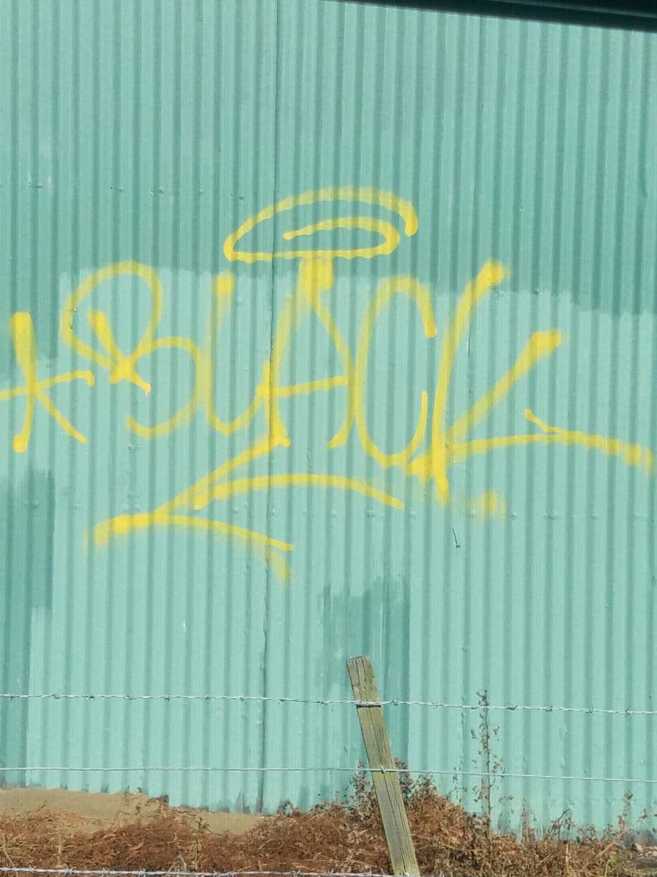 The photograph attached to this graffiti report