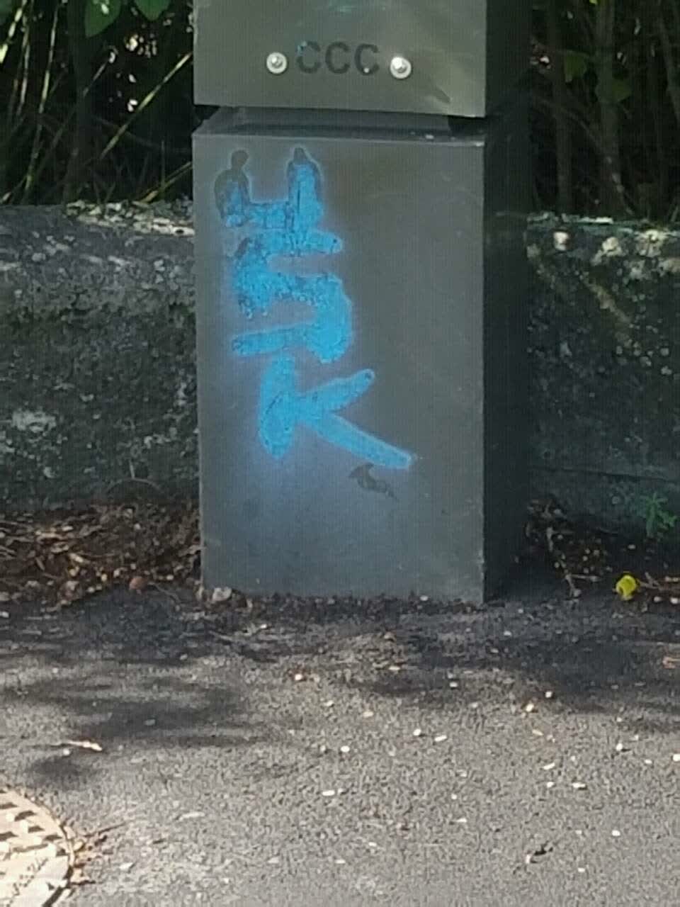 The photograph attached to this graffiti report