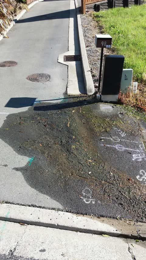 Roading/Streets, a report photo
