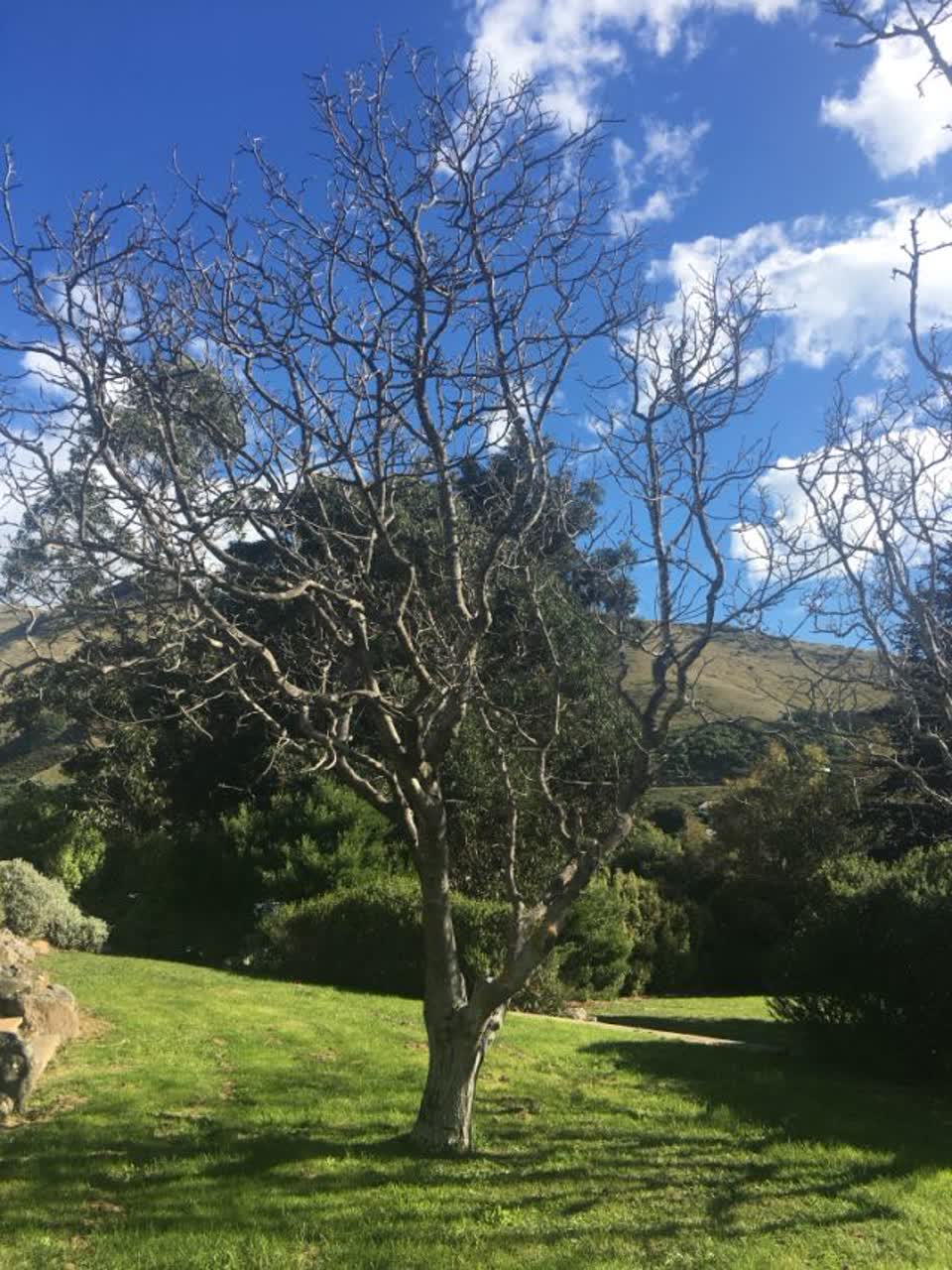 The photograph attached to this parks report