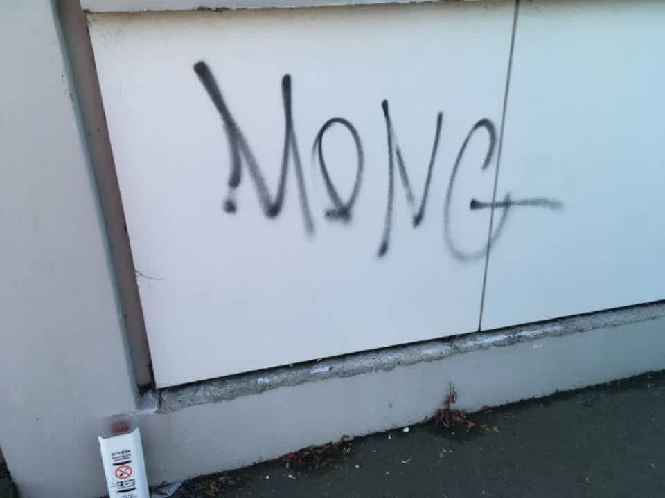 The photograph attached to this graffiti report