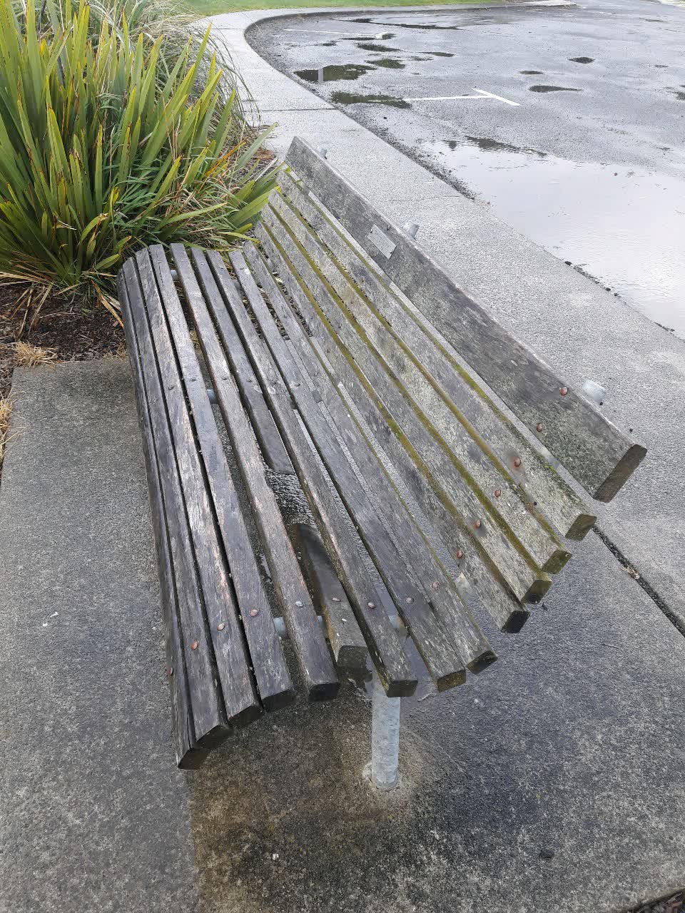 The photograph attached to this parks report