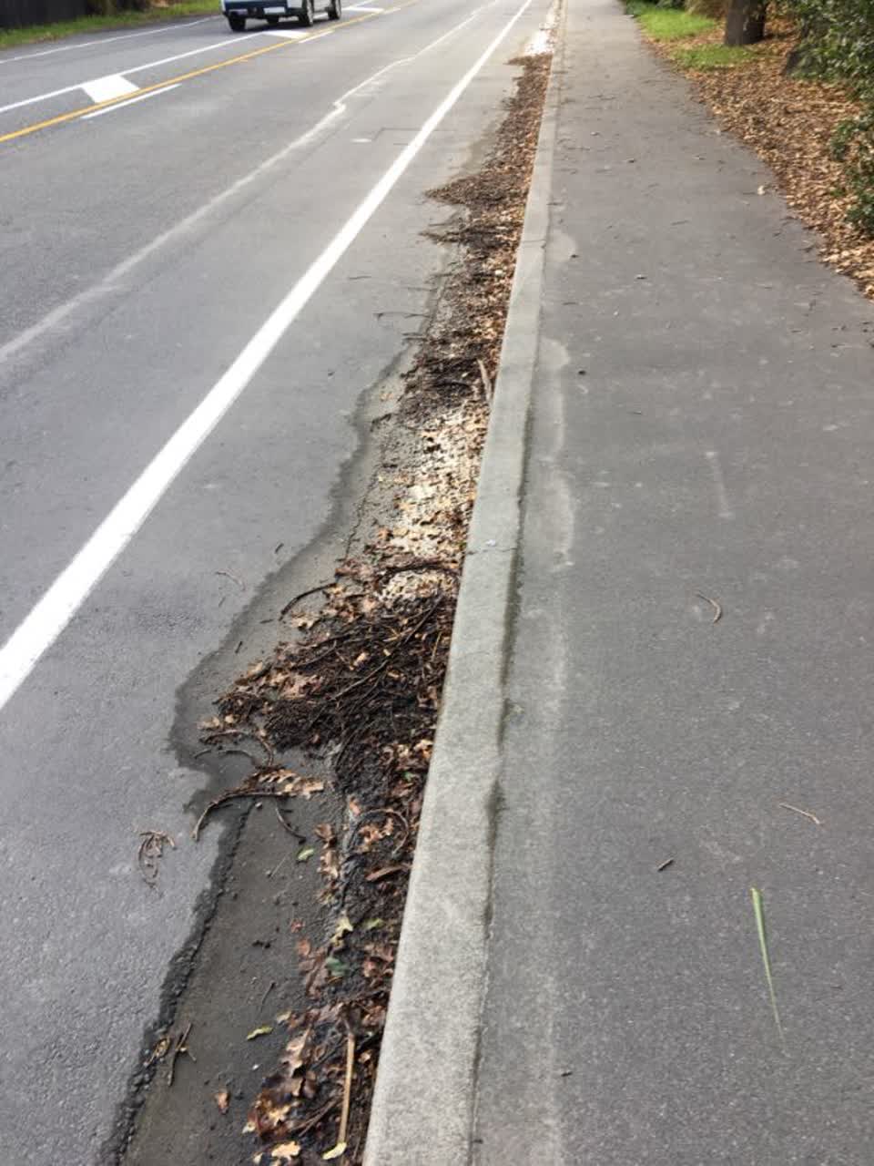 The photograph attached to this roading/streets report