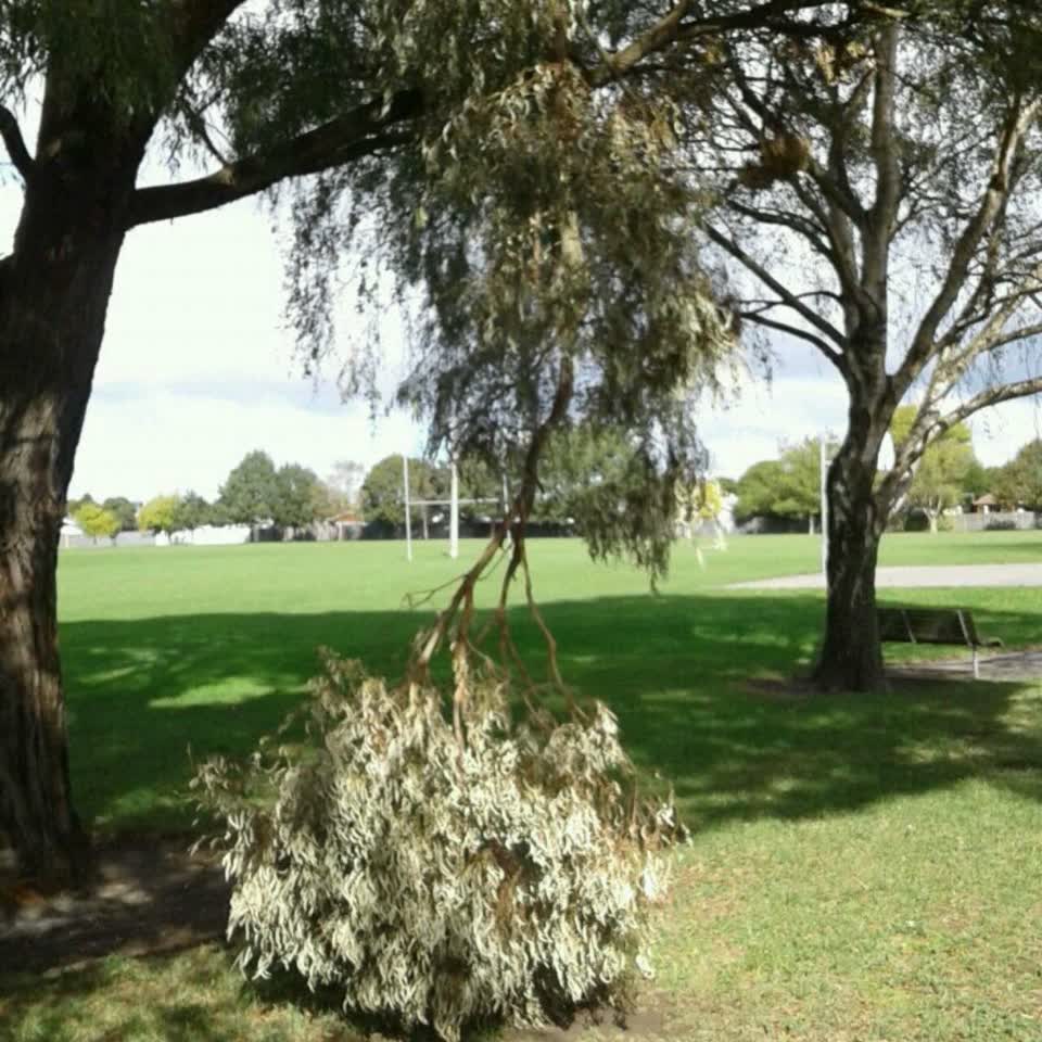 The photograph attached to this parks report