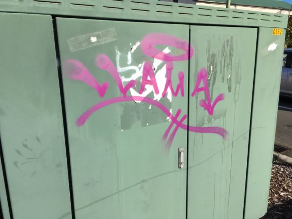 The photograph attached to this graffiti report