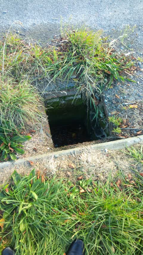 Wastewater/Stormwater, a report photo