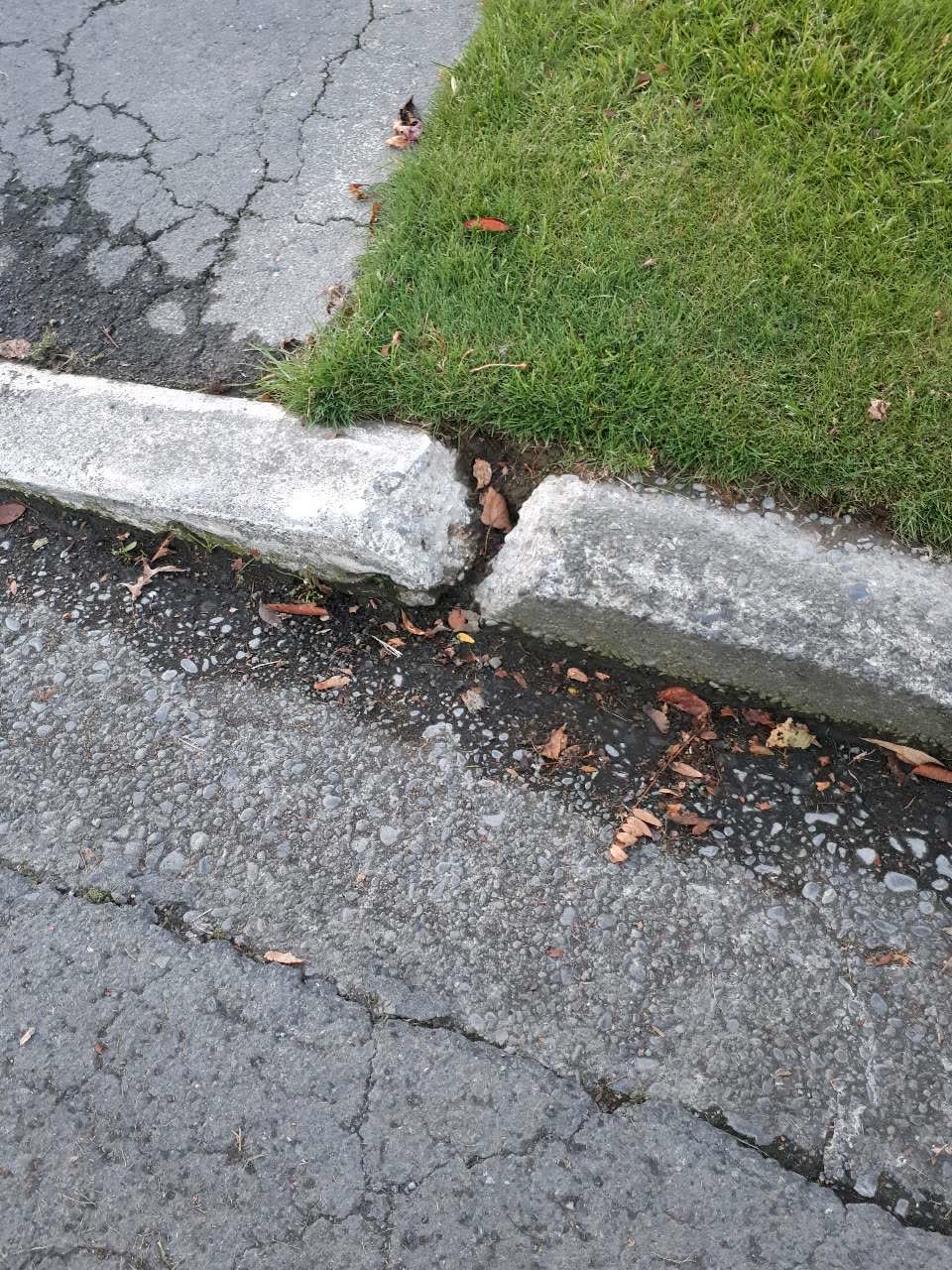The photograph attached to this roading/streets report