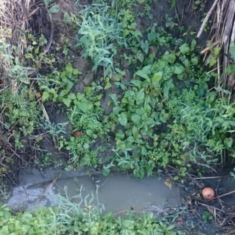 Wastewater/Stormwater — a report photo