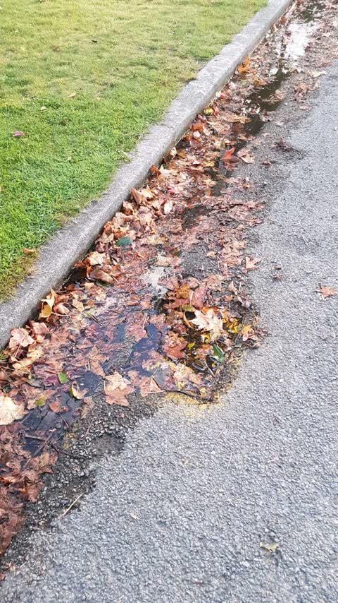 Wastewater/Stormwater, a report photo