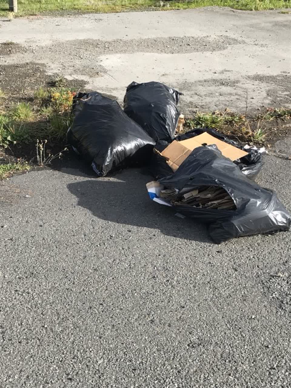 The photograph attached to this rubbish/recycling report