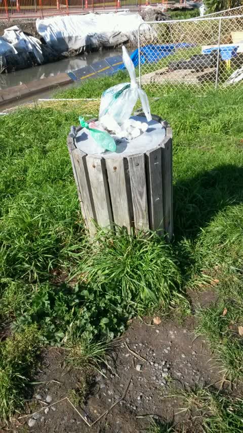 Rubbish/Recycling, a report photo