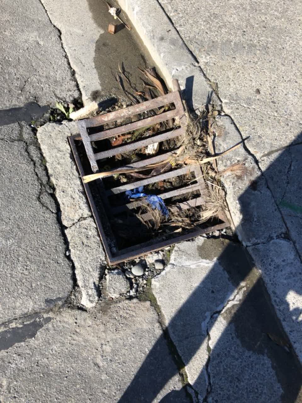 The photograph attached to this wastewater/stormwater report