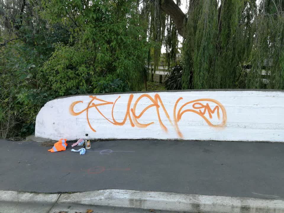 The photograph attached to this graffiti report