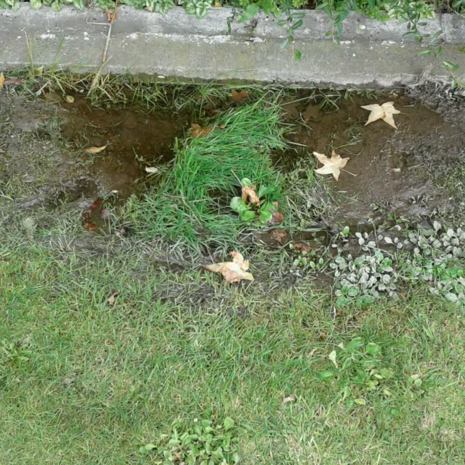 The photograph attached to this water supply report