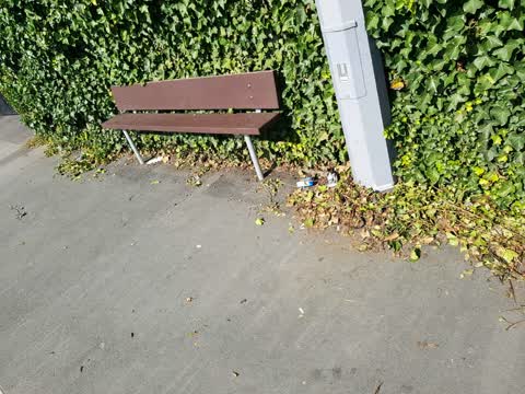Rubbish/Recycling, a report photo