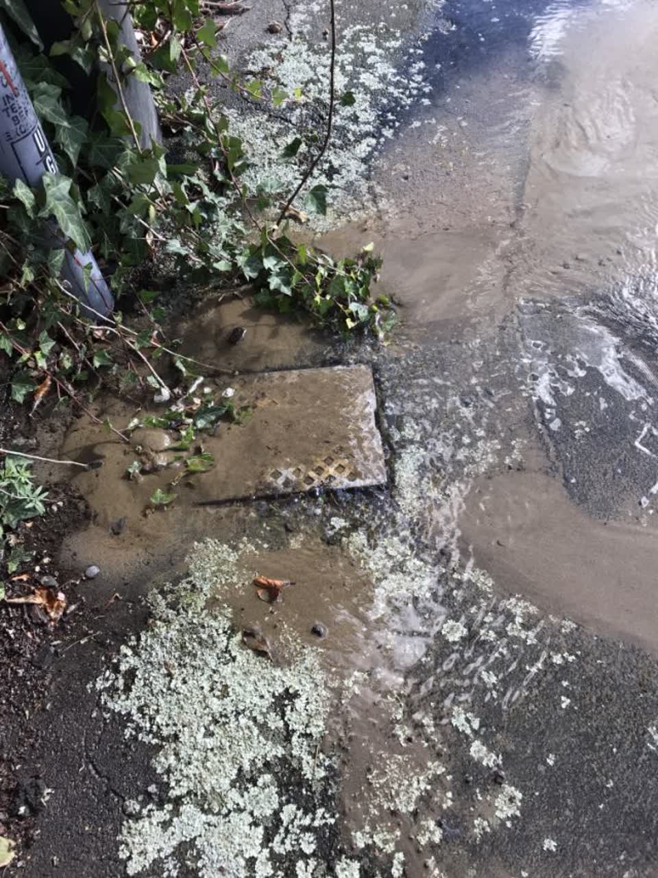 The photograph attached to this wastewater/stormwater report