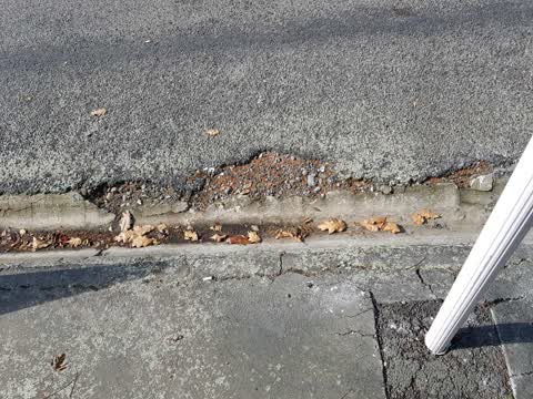 Roading/Streets, a report photo