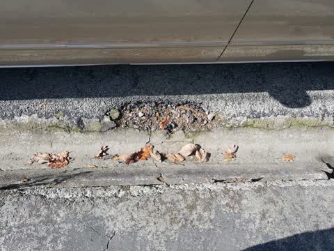 Roading/Streets, a report photo