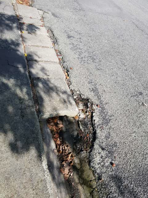 Roading/Streets, a report photo