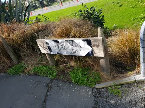 Graffiti, a report photo