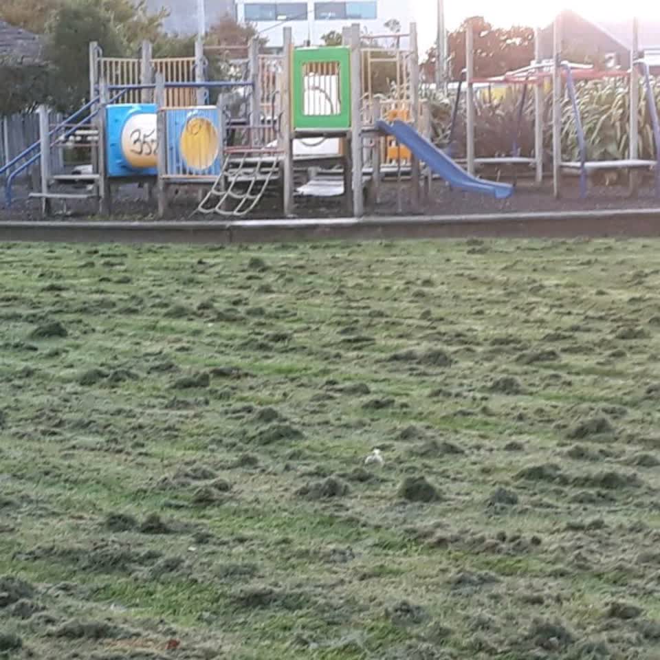The photograph attached to this parks report
