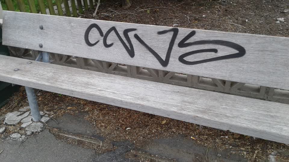 The photograph attached to this graffiti report