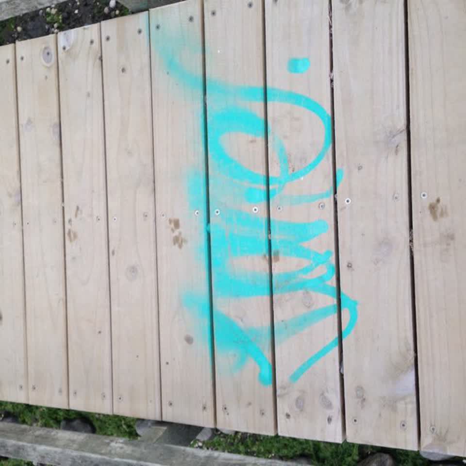 The photograph attached to this graffiti report