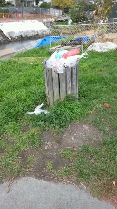 Rubbish/Recycling, a report photo