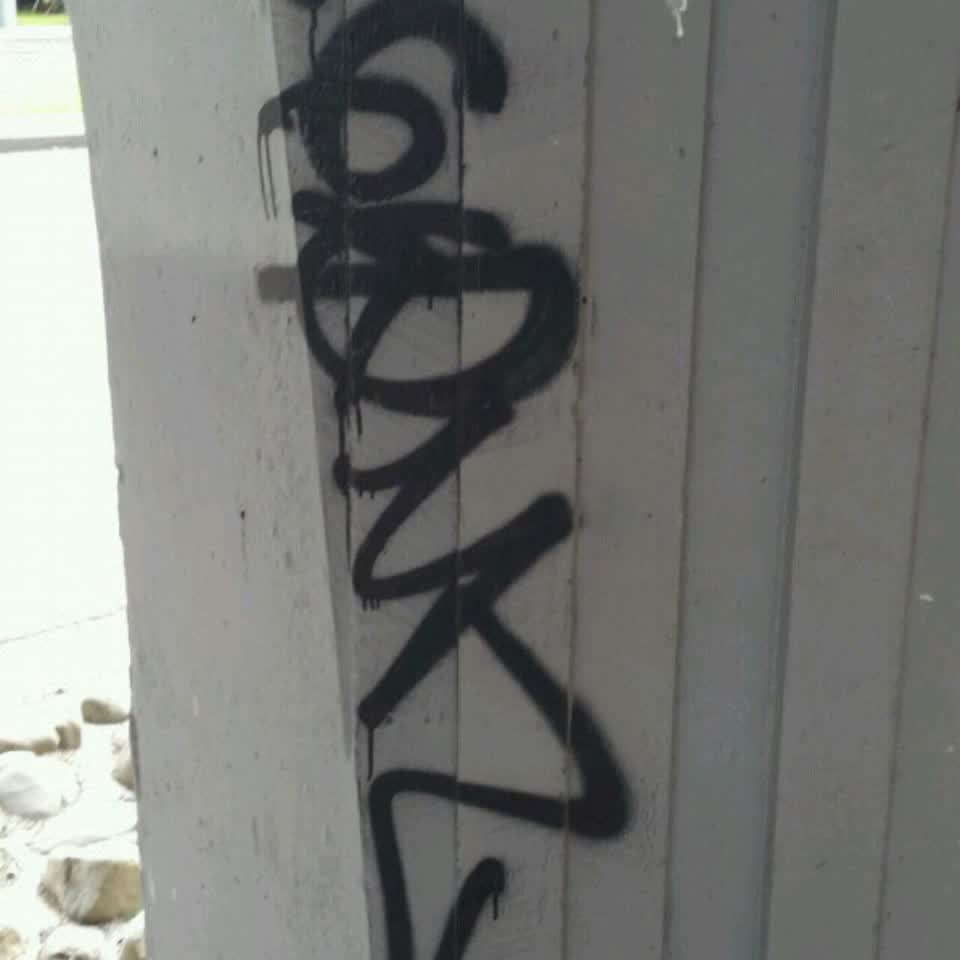 The photograph attached to this graffiti report