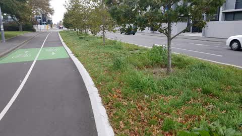 Roading/Streets, a report photo
