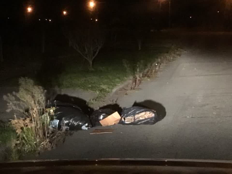 The photograph attached to this rubbish/recycling report