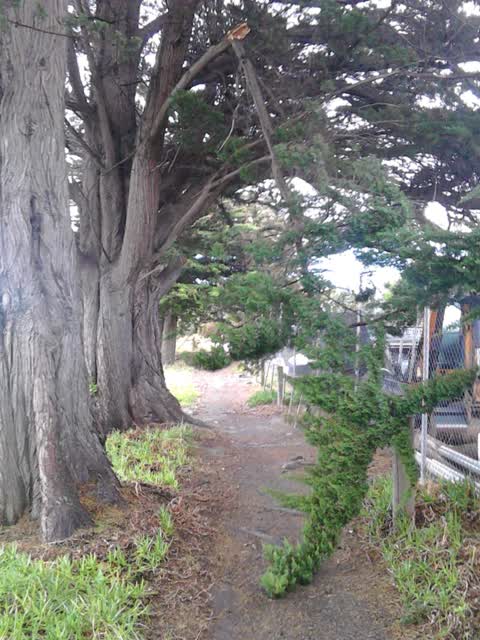 Parks, a report photo