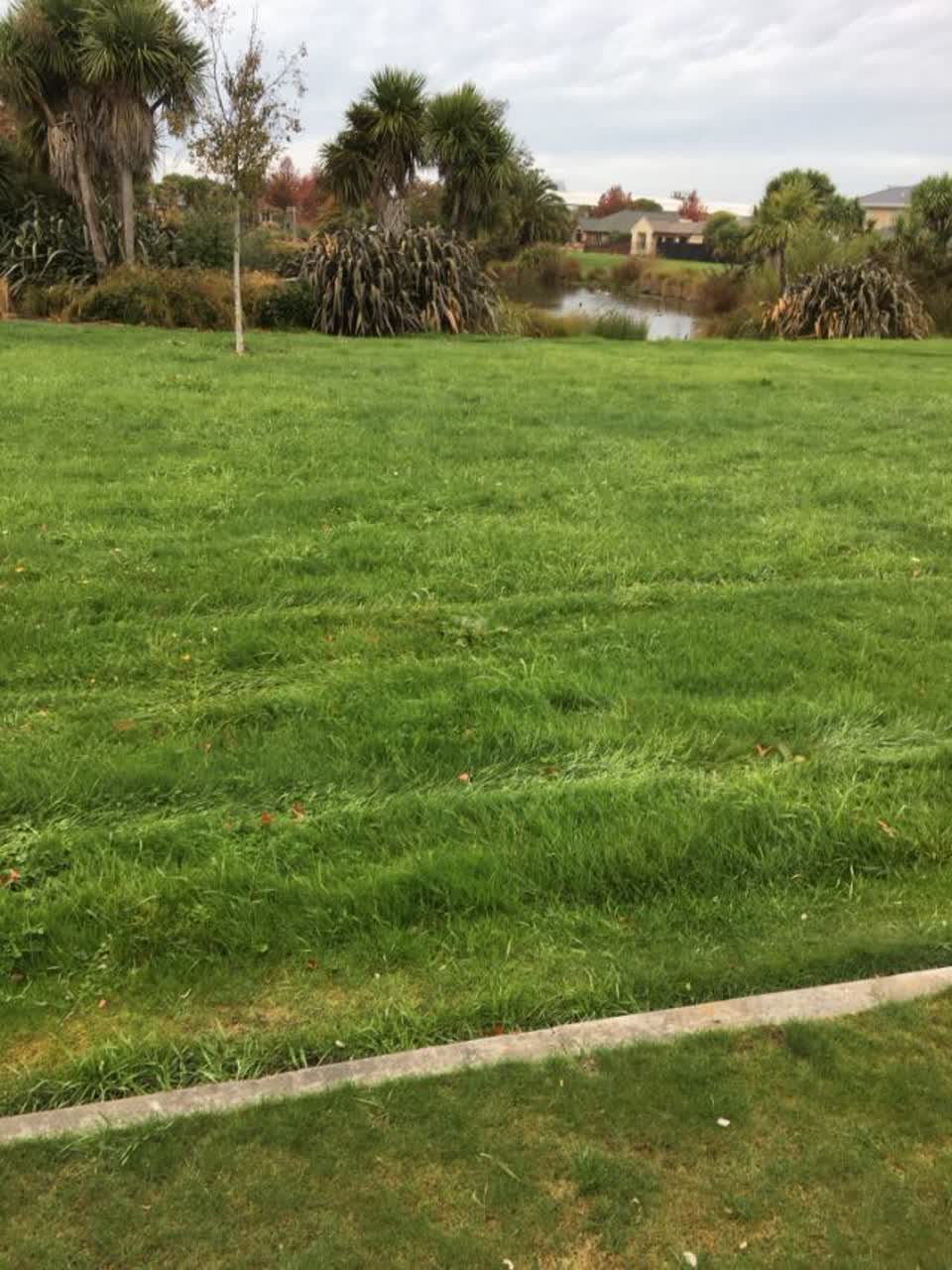 The photograph attached to this parks report
