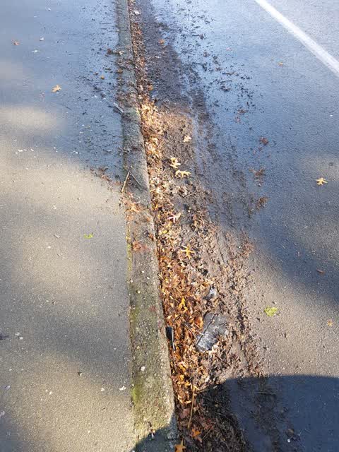 Roading/Streets, a report photo
