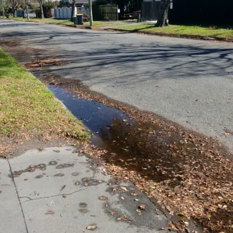 Roading/Streets, a report photo