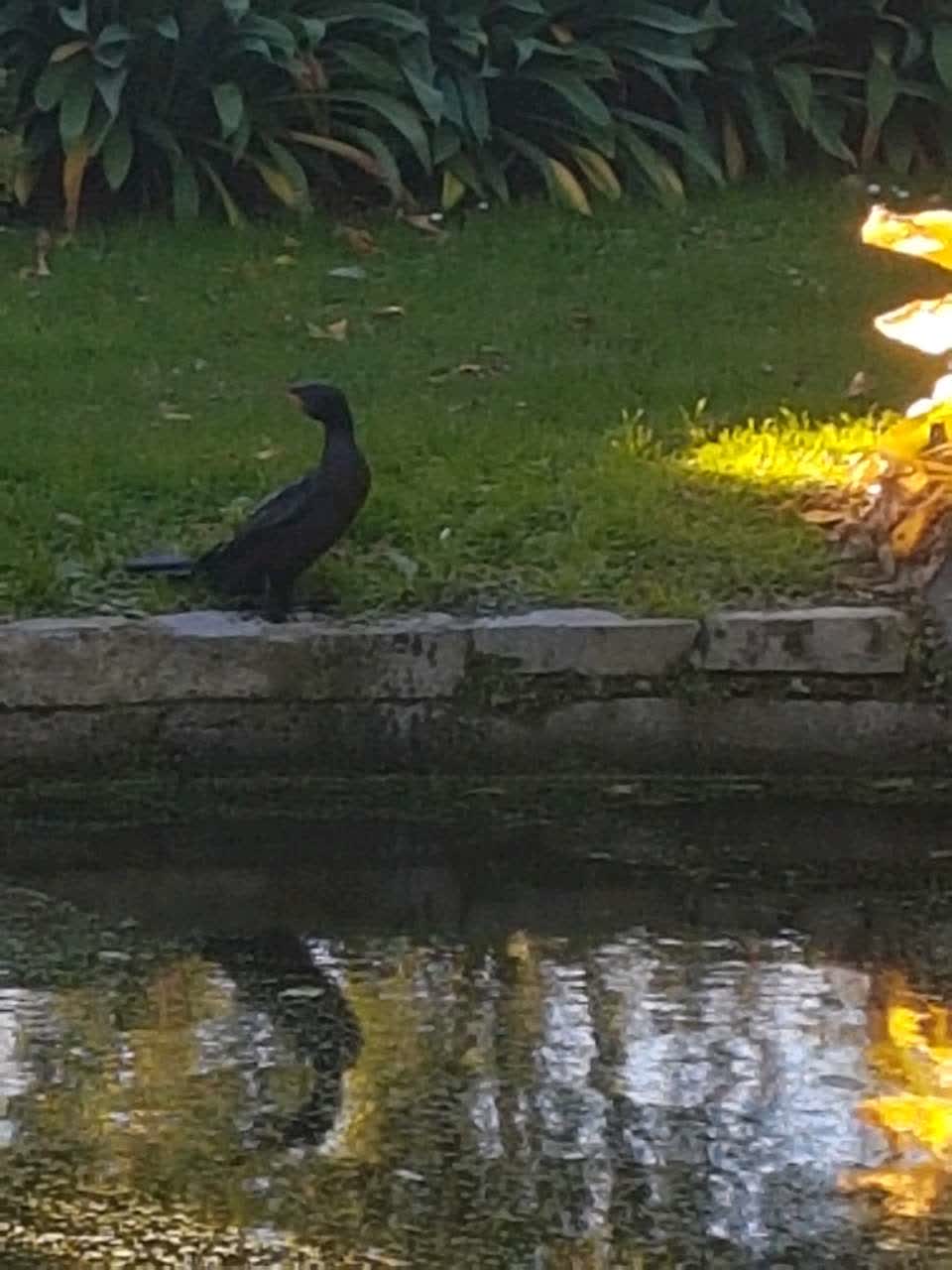 The photograph attached to this parks report