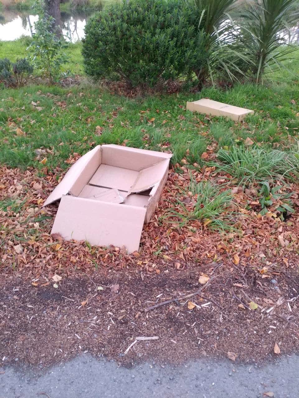 The photograph attached to this rubbish/recycling report