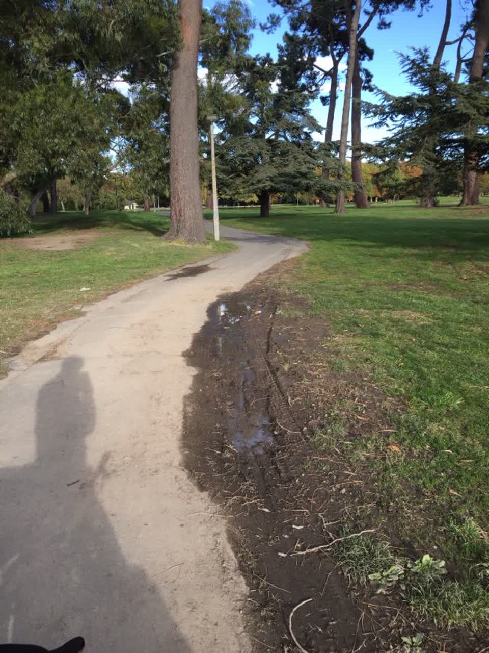 The photograph attached to this parks report