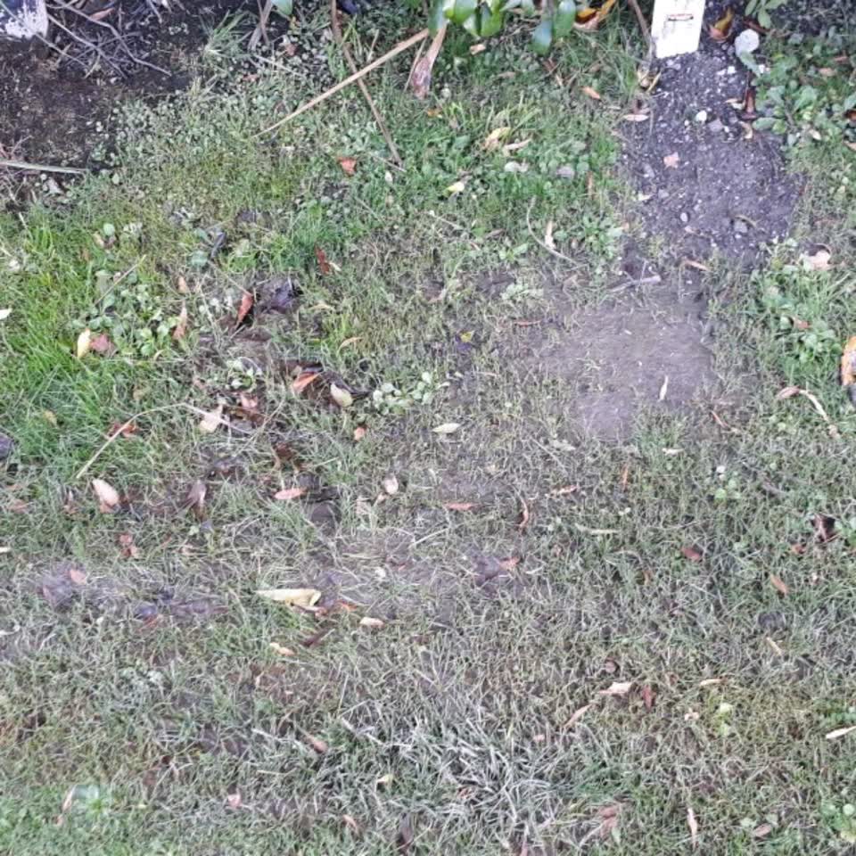 The photograph attached to this water supply report