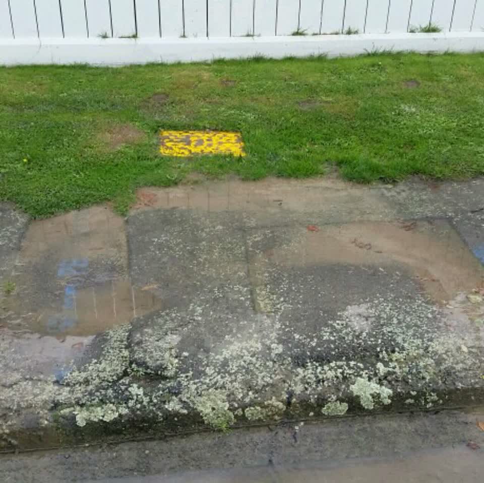 The photograph attached to this water supply report