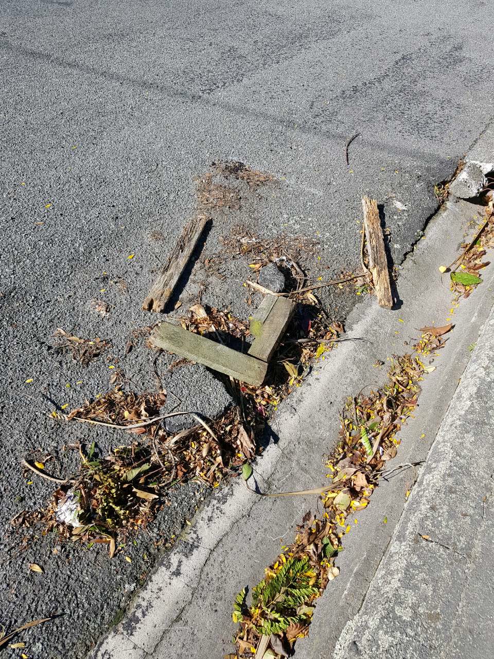 The photograph attached to this roading/streets report