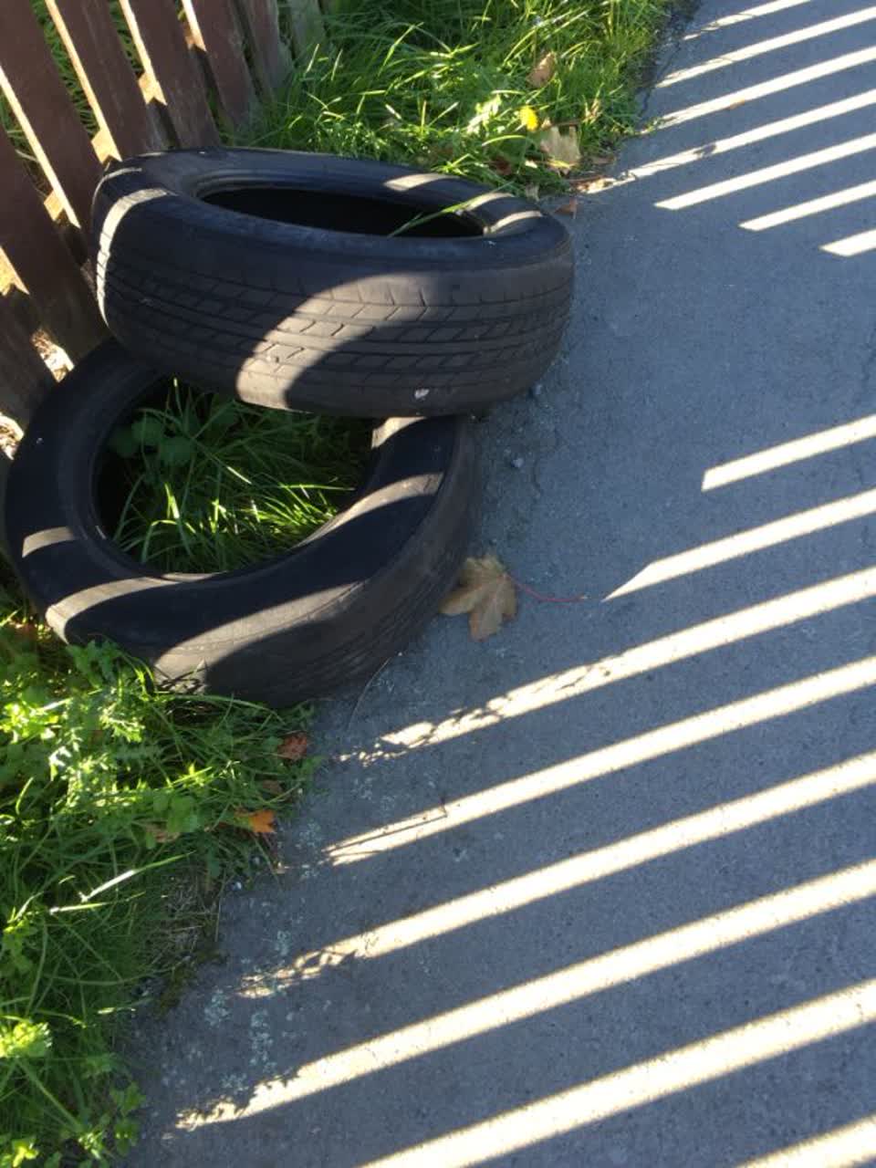 The photograph attached to this rubbish/recycling report