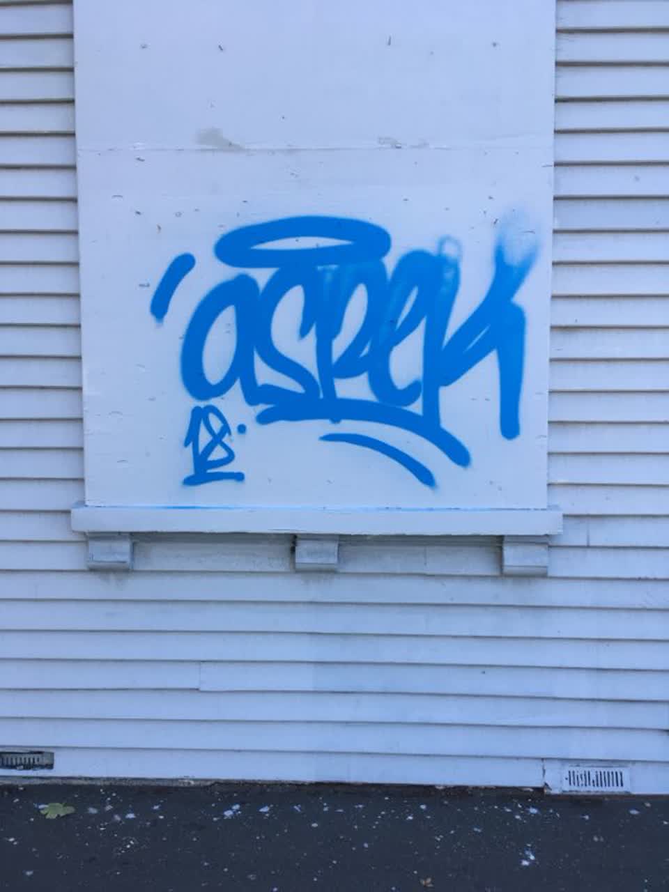 The photograph attached to this graffiti report