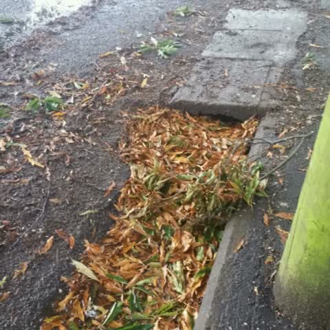 Flooding — a report photo