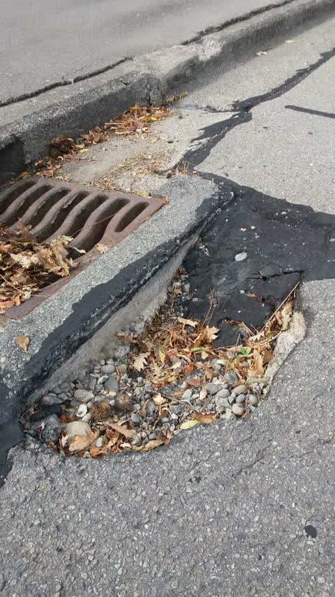 Roading/Streets, a report photo