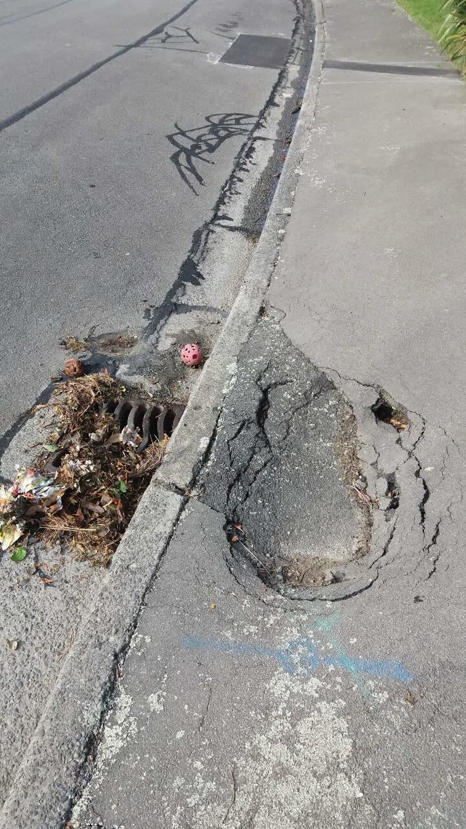The photograph attached to this roading/streets report