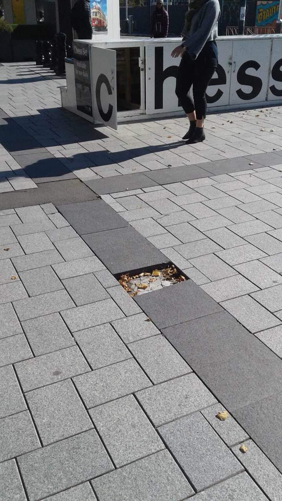 The photograph attached to this parks report