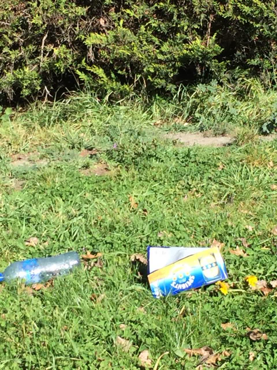 The photograph attached to this rubbish/recycling report